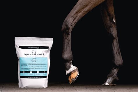 The Science Behind the Magic: How Magical Elixirs Work on Horses
